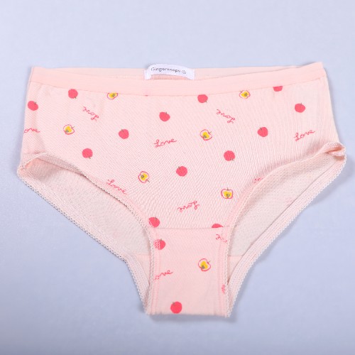 FL-Accessories-28_Custom Apple Print Briefs_Shanghai Fully Lucky Knitting