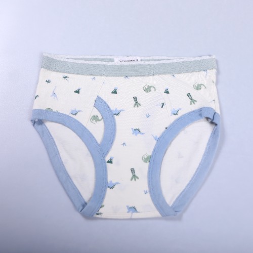 FL-Accessories-29_Boys Dinosaur Print Underwear_Shanghai Fully Lucky Knitting