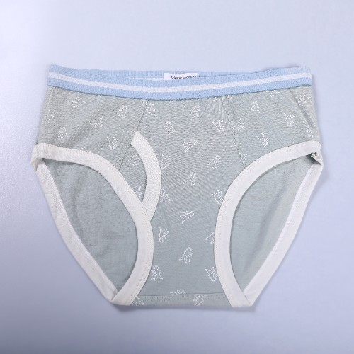 FL-Accessories-30_Custom Minimalist Dinosaur Print Briefs_Shanghai Fully Lucky Knitting